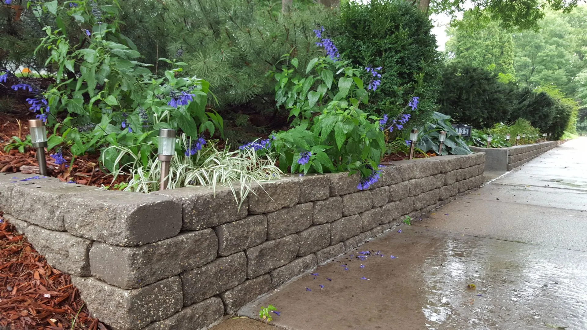 Garden Walls and Shrubs